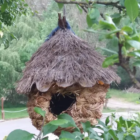 Casa Rural Moli De