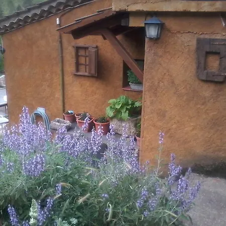 Casa Rural Moli De Guest house *